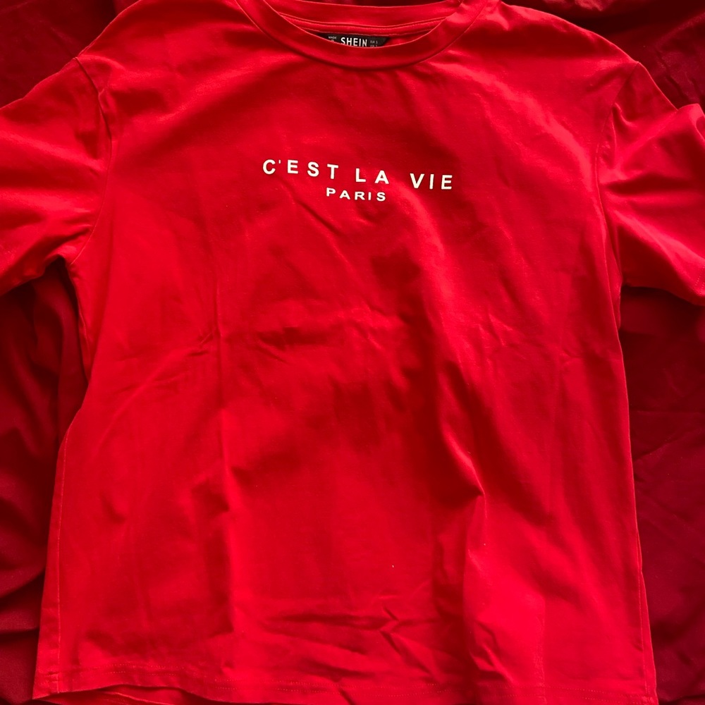 12 T-Shirts, 1 Sweater and 2 Flannel - Picture 4 of 15